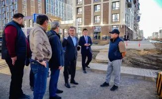 Зеленый миллион: Астана готовит лесные перемены!