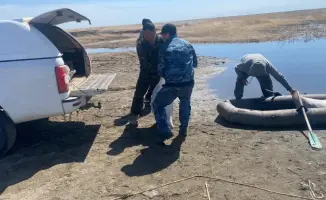 Нарушение правил рыболовства: последствия незаконного лова во время нереста