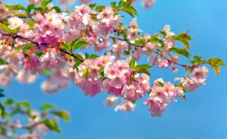 Погода в Астане и Алматы: весенний дождь в танце с солнцем — синоптики предсказывают капли счастья и солнечные улыбки на 29, 30 апреля и 1 мая