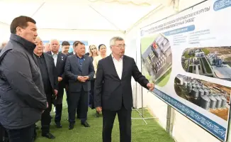 Кукуруза в Сырдарье: 150 тысяч тонн и 550 мест!