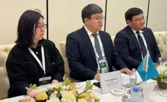 Энергоэффективность: мост между Казахстаном и ОТГ?