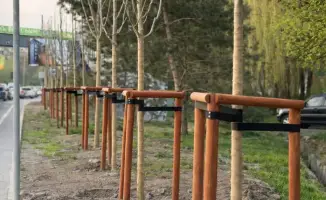 Зеленый оазис Алматы: как автополив спасет растения?