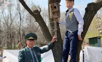 Скворечники для птиц в столичных школах