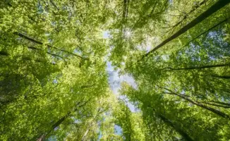 В Алматинской области стартовала масштабная экологическая программа с участием 120 тысяч человек