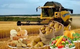 Казахстан демонстрирует рост производства продуктов питания на 11,9%, достигнув 665 млрд тенге