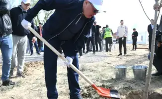 30 тысяч рук за зелёное будущее Алматинской области!