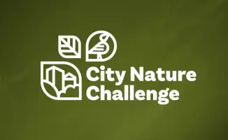 Караганда принимает участие в международной экологической акции City Nature Challenge