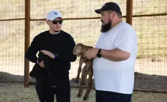 Рост численности овец в Жамбылском районе: важный сезон для животноводов и его социальные последствия