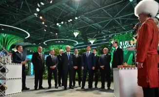 Глобальное внимание к зеленым технологиям: последствия для устойчивого развития и международного сотрудничества после Регионального экологического саммита в Астане