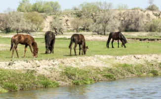 Синоптики Казгидромета прогнозируют грозы и повышение температуры до +29°C в Астане и Алматы 2, 3 и 4 апреля. Ожидается, что в эти дни погода будет теплой, но возможны кратковременные дожди и грозы.