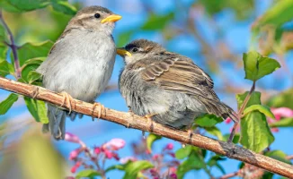 Погода в Астане и Алматы: как изменения температуры влияют на повседневную жизнь горожан