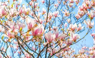 Тепло возвращается: Казахстан встречает весну с температурой до +28°C