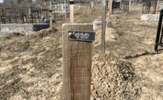 О тех, кто умер в одиночестве. Как в Казахстане хоронят “безродных“ и почему это важно