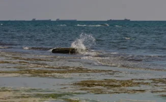 Токаев подчеркивает необходимость мирного разрешения споров в Каспийском регионе для защиты экосистемы моря