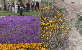 Алматинцы повредили крокусы на Терренкуре ради Instagram