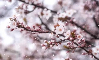 Снег и заморозки ожидаются в Казахстане: прогноз погоды на 25-27 апреля от синоптиков Казгидромета