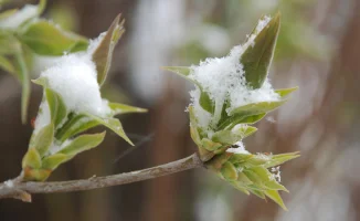 Погода в Астане: снег 8-10 апреля, в Алматы до +24 по прогнозу Казгидромета