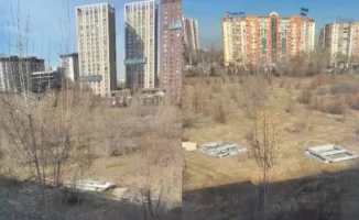 Фазан под угрозой: что скрывает земля в Алматы?