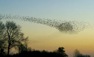 Погода в Астане и Алматы: похолодание 3, 4, 5 апреля - прогноз от Казгидромета