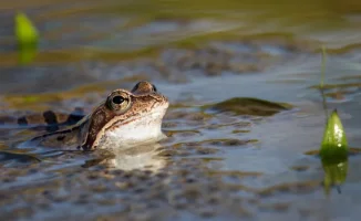 Астана столкнется с резким похолоданием, а Алматы ожидают грозы: как это повлияет на планы горожан в начале мая?