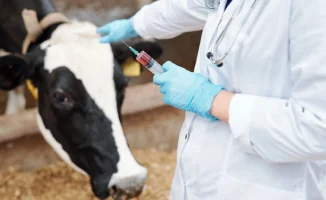 В Минсельхозе оценили риски распространения бешенства из России в Казахстан