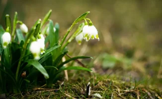 Казахстан под ледяным одеялом: сильные дожди и заморозки в начале мая