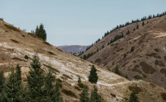 Земля, как бумеранг: Алматы возвращает 17 миллиардов тенге в государственную казну