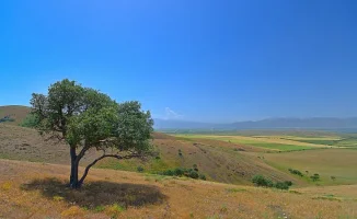 Казахстан накроет жара: 32 градуса в апреле!