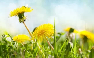 Май 2026: Казахстан под небесами контрастов — от зноя до ледяного дыхания