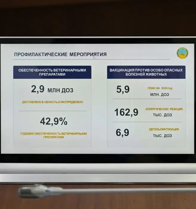 В акимате области рассмотрели вопросы организации летнего отдыха, оздоровления и занятости детей, а также обеспечения ветеринарной безопасности региона (2)