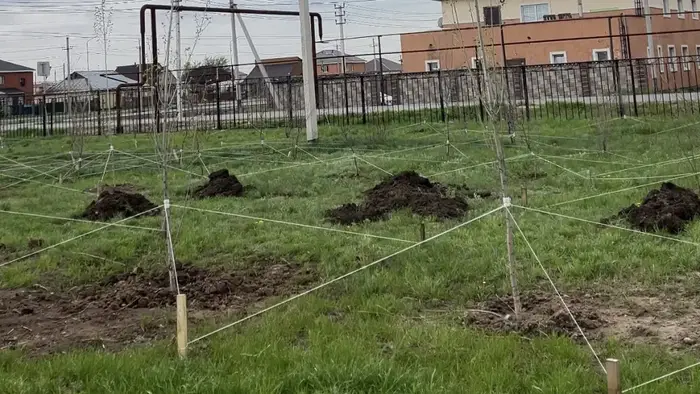 Защита природы - общий долг! (3)