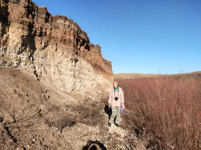 Как ученые Западного Казахстана изучают морских рептилий юрского периода (7)