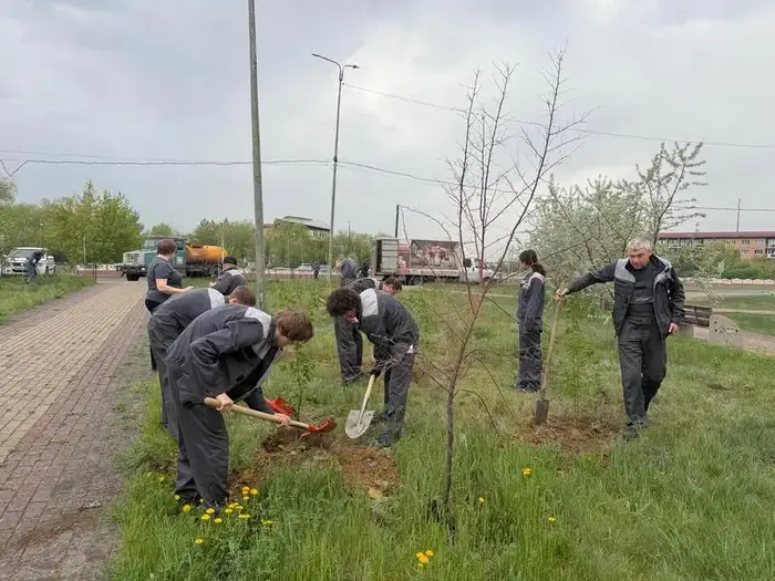 «Таза Қазақстан»: бизнесмены Карагандинской области поддержали республиканский челлендж (2)
