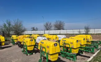 Борьба с мароккской саранчой в Туркестанской области продолжается
