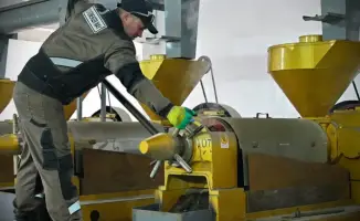 В Павлодарской области открылся новый маслозавод с мощностью 35 тысяч тонн продукции в год
