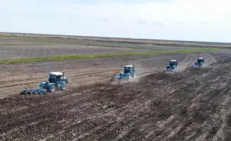 Весной в Казахстане засеяно 14,5 млн га сельхозкультур