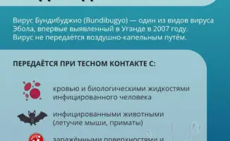 Важность соблюдения мер профилактики при поездках в регионы с вспышками лихорадки Эбола