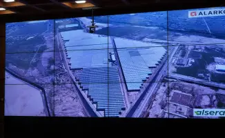 Инвестиции в агросектор: Как проект тепличного комплекса на 650 млн долларов изменит рынок труда и продовольственную безопасность Казахстана