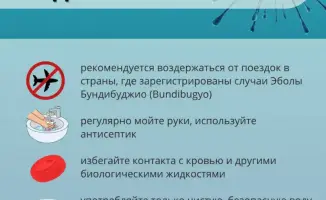 Эбола: последствия вспышки для путешественников и меры предосторожности