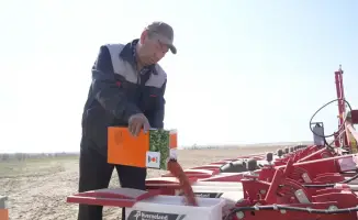 Посадка сахарной свеклы в Жетісу: достижения и прогнозы урожая