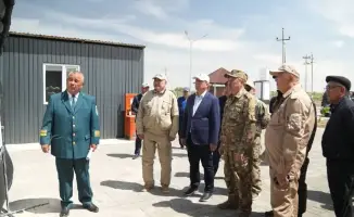 Восстановление лесов на дне Аральского моря результаты лесомелиоративных работ