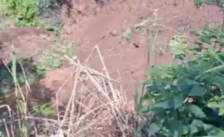 Оползень в Медеуском районе Алматы: видео с места происшествия и комментарии ДЧС