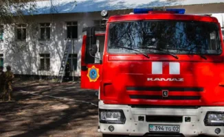 Пожар в алматинском зоопарке: возможные последствия для животных и экосистемы города