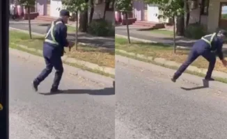 В Алматы водитель троллейбуса остановил маршрут, чтобы спасти птицу на дороге: трогательный момент стал вирусным в сети